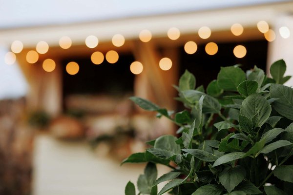 Revitalize your restaurant"s ambiance: harnessing the art of feng shui for enhanced energy and flow